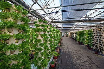 mini indoor hydroponic